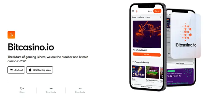 ビットカジノアプリ