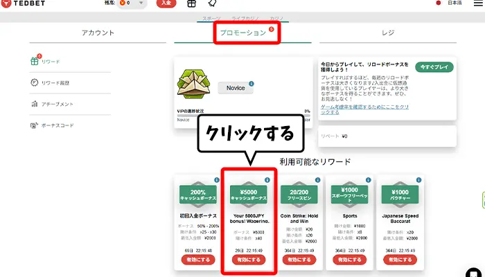 ボーナスの有効化